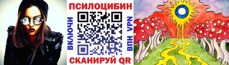 Псилоцибиновые грибы GOLDEN TEACHER  Каменск-Уральский 